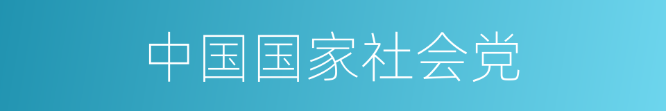 中国国家社会党的同义词