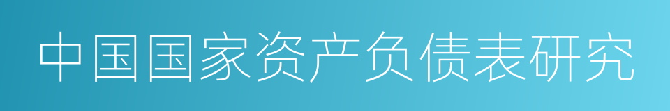 中国国家资产负债表研究的同义词