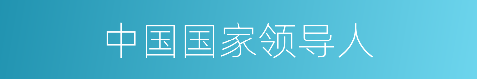 中国国家领导人的同义词