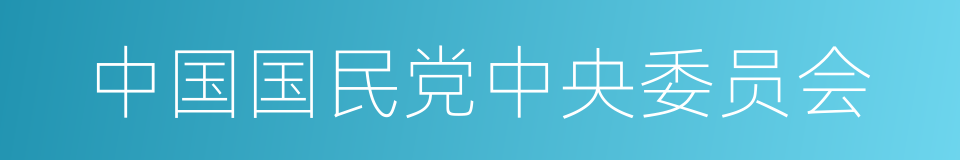 中国国民党中央委员会的同义词