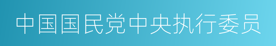 中国国民党中央执行委员的同义词