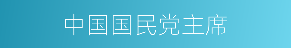 中国国民党主席的同义词