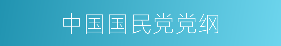 中国国民党党纲的同义词