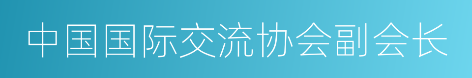 中国国际交流协会副会长的同义词