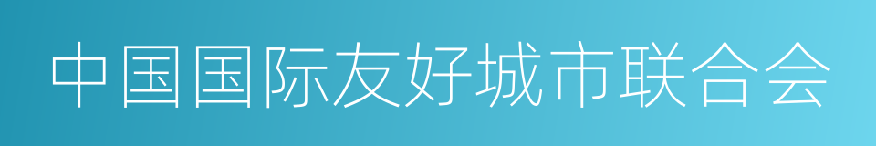 中国国际友好城市联合会的同义词