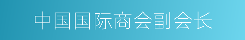 中国国际商会副会长的同义词