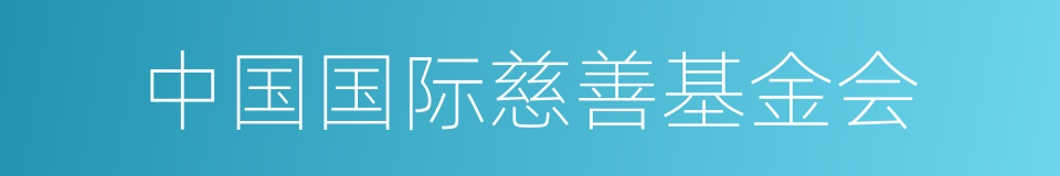 中国国际慈善基金会的同义词