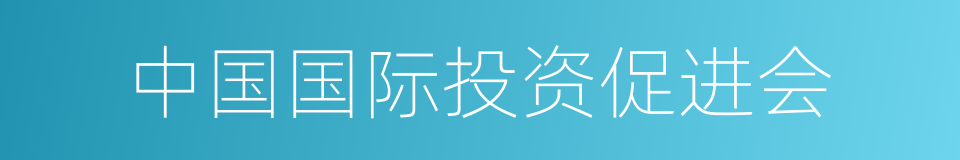 中国国际投资促进会的同义词