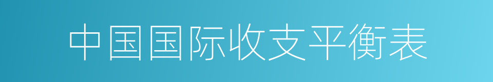 中国国际收支平衡表的同义词