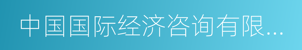 中国国际经济咨询有限公司的同义词