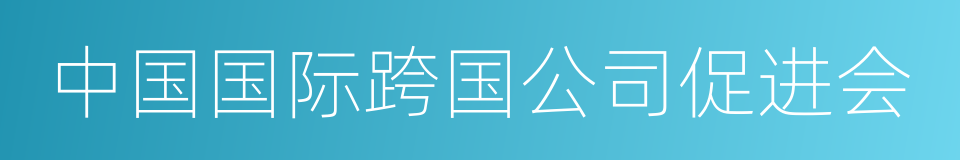 中国国际跨国公司促进会的同义词