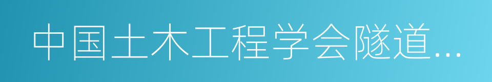 中国土木工程学会隧道及地下工程分会的同义词