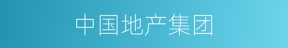 中国地产集团的同义词