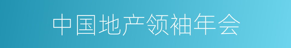 中国地产领袖年会的同义词