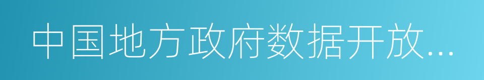 中国地方政府数据开放平台报告的同义词