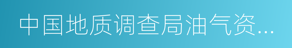 中国地质调查局油气资源调查中心的同义词