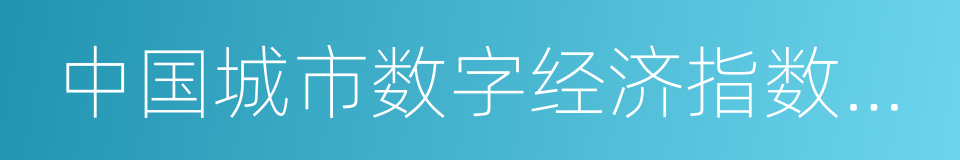 中国城市数字经济指数白皮书的同义词