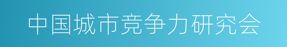 中国城市竞争力研究会的同义词