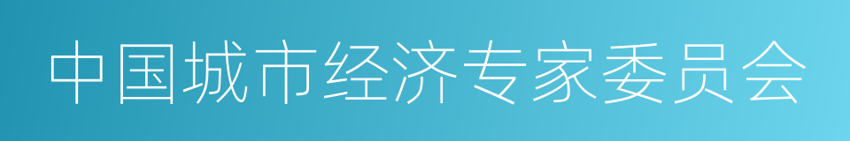 中国城市经济专家委员会的同义词