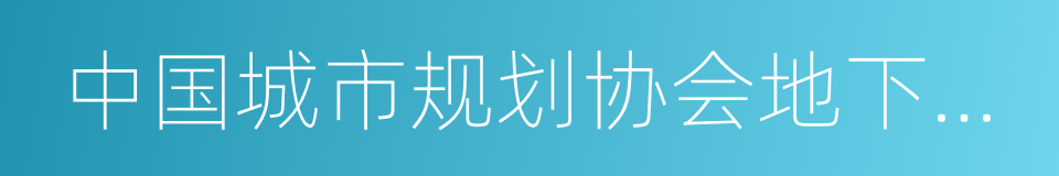 中国城市规划协会地下管线专业委员会的同义词