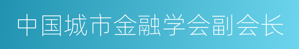 中国城市金融学会副会长的同义词