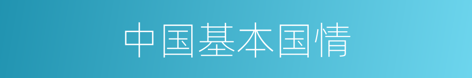 中国基本国情的同义词