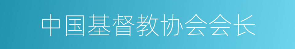 中国基督教协会会长的同义词