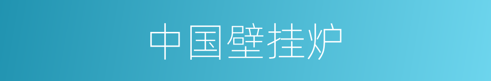 中国壁挂炉的同义词