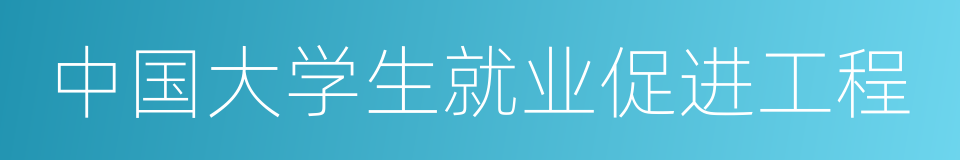 中国大学生就业促进工程的同义词