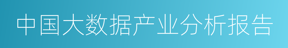 中国大数据产业分析报告的同义词