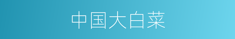 中国大白菜的同义词