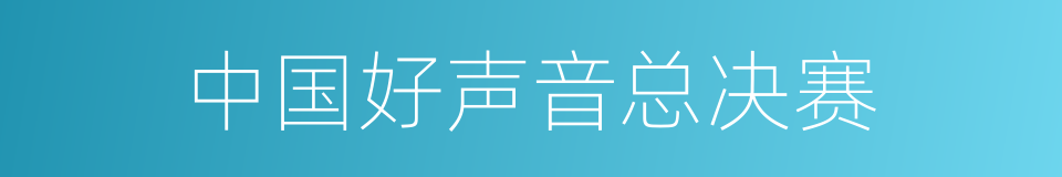 中国好声音总决赛的同义词