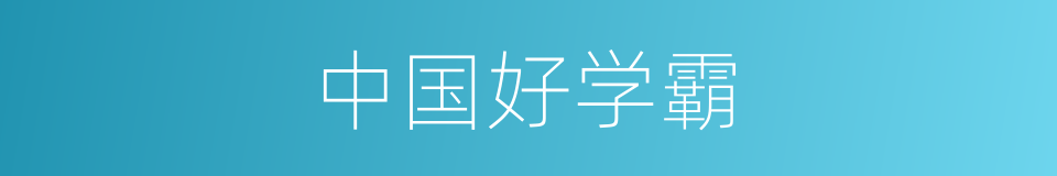 中国好学霸的同义词