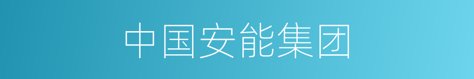 中国安能集团的同义词