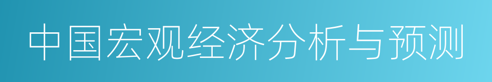 中国宏观经济分析与预测的同义词