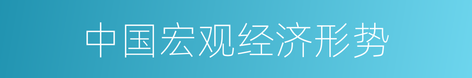 中国宏观经济形势的同义词