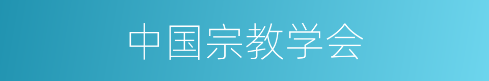 中国宗教学会的同义词