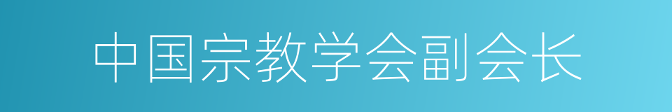 中国宗教学会副会长的同义词