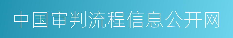 中国审判流程信息公开网的同义词