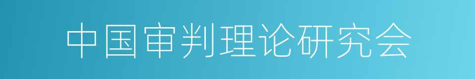 中国审判理论研究会的同义词