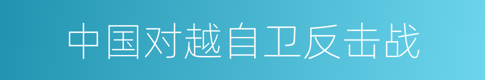 中国对越自卫反击战的同义词