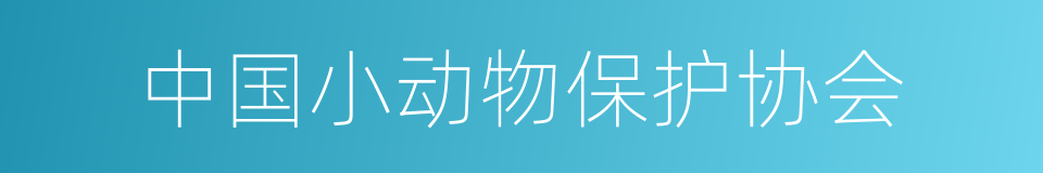 中国小动物保护协会的同义词