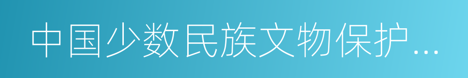 中国少数民族文物保护协会的同义词