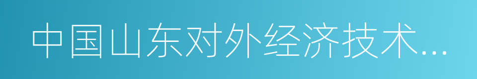 中国山东对外经济技术合作集团有限公司的同义词