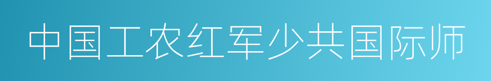 中国工农红军少共国际师的同义词