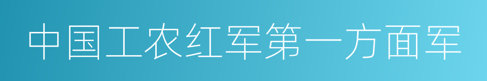 中国工农红军第一方面军的同义词