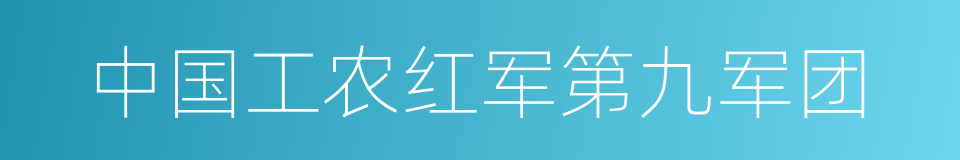 中国工农红军第九军团的同义词