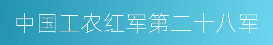 中国工农红军第二十八军的同义词