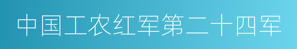 中国工农红军第二十四军的同义词