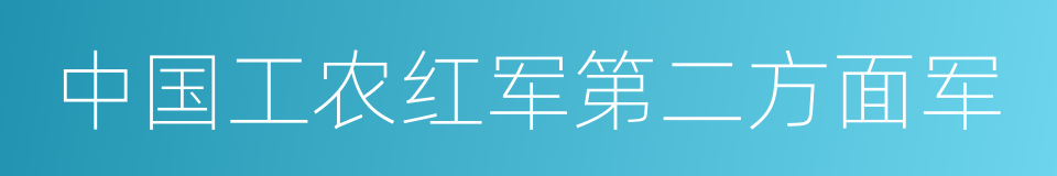 中国工农红军第二方面军的同义词